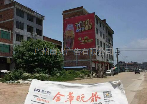 广东省广州市有专业的墙体广告公司吗？